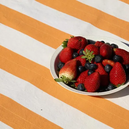 Casa Koya- Luxury House In The Countryside *