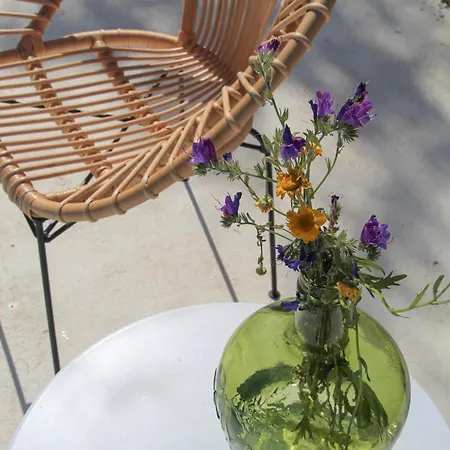 Casa Koya- Luxury House In The Countryside * Sao Romao (Evora)