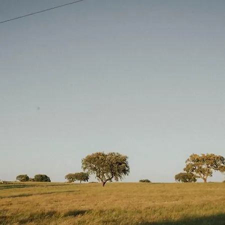 Casa Koya- Luxury House In The Countryside