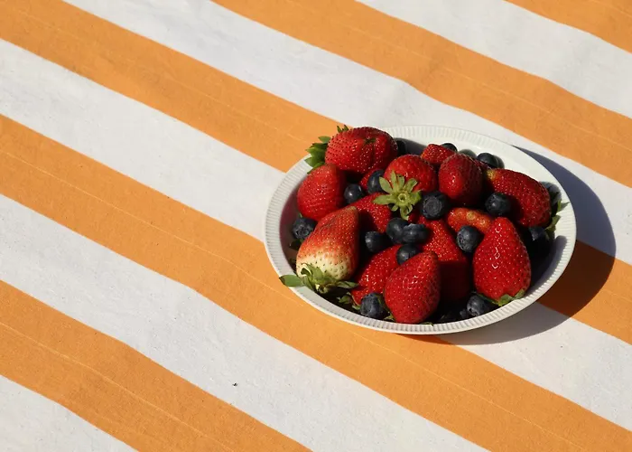 Casa Koya- Luxury House In The Countryside *