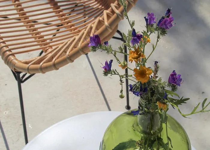 Casa Koya- Luxury House In The Countryside * Sao Romao (Evora)