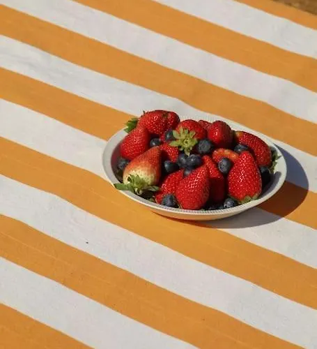 Casa Koya- Luxury House In The Countryside Villa *