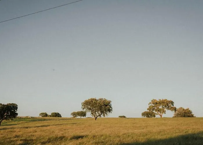 Casa Koya- Luxury House In The Countryside