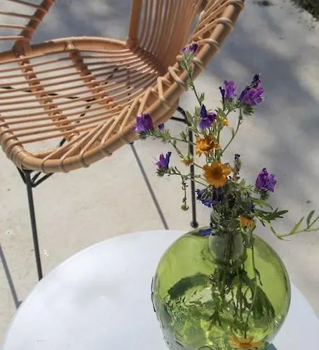 Villa Casa Koya- Luxury House In The Countryside Sao Romao (Evora)